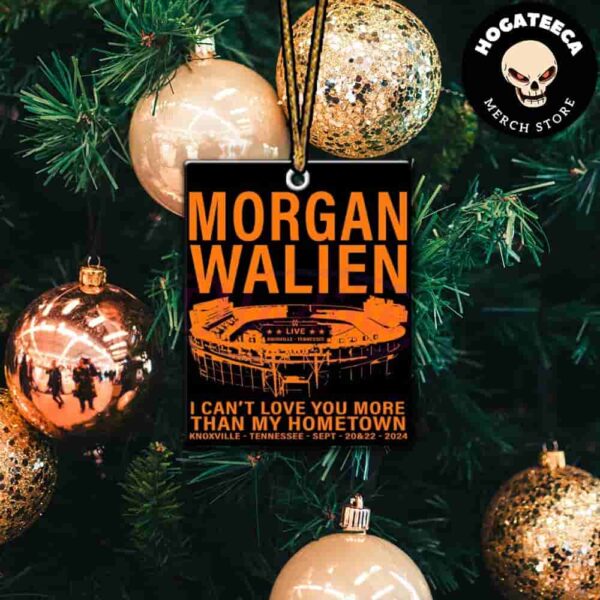 Morgan Wallen I Cant Love You More Than My Hometown Christmas 2024 Tree Decorations Ornament